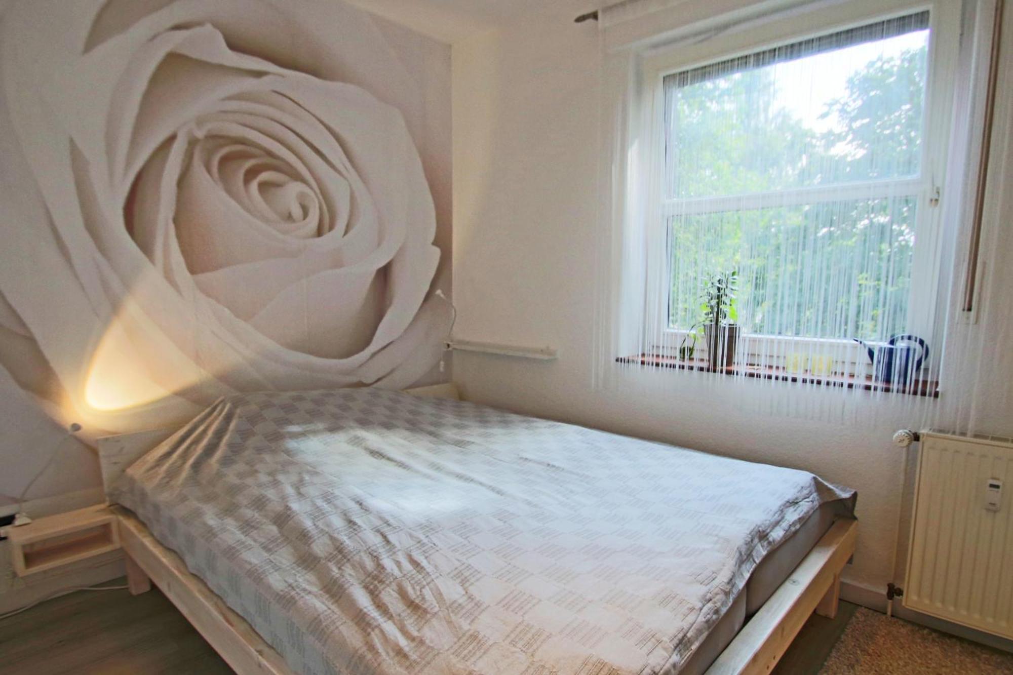 Ruhiges & Gemuetliches Apartment Im Herzen Von Huede 300 M Entfernt Vom Duemmer See Ngoại thất bức ảnh